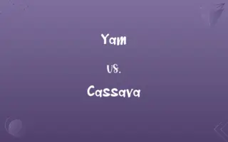 Yam vs. Cassava