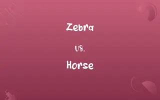 Zebra vs. Horse