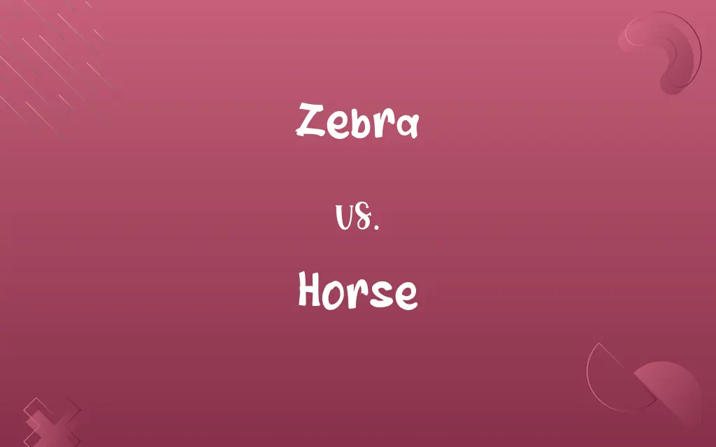 Zebra vs. Horse